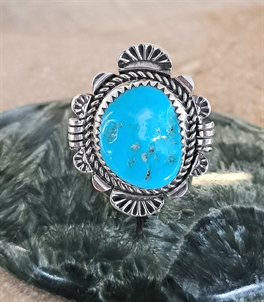 Bague chevaux