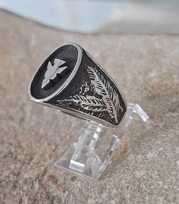 Bague en Turquoise véritable argent 95 ème Navajo